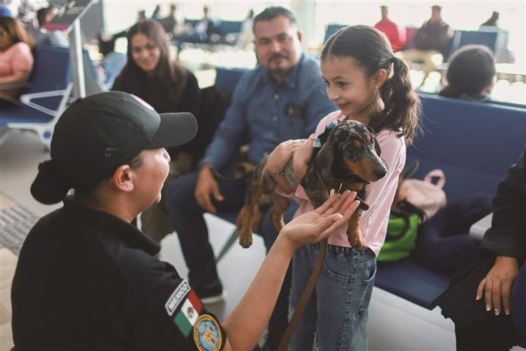 ཉེ་ཆར། མོ་ཞི་ཁོ་ཧྥེ་ལི་ཕེ་ཨན་ཧོ་ལའེ་སི་རྒྱལ་སྤྱིའི་གནམ་ཐང་གིས་འཕུར་སྐྱོད་ལམ་བར་གྱི་འགྲུལ་པའི་དངངས་འཚབ་ཆུང་དུ་གཏོང་ཆེད། ཁྱི་ལ“སེམས་ཁམས་གསོ་བའི་སྨན་པའི”ཞབས་ཞུ་མཁོ་འདོན་བྱས་ཤིང་། འདི་ནི་མོ་ཞི་ཁོ་ཧྥེ་ལི་ཕེ་ཨན་ཧོ་ལའེ་སི་རྒྱལ་སྤྱིའི་གནམ་ཐང་དུ་འགྲུལ་པས“སེམས་ཁམས་གསོ་བའི་སྨན་པ”དང་མཉམ་འགུལ་བྱེད་བཞིན་པ།