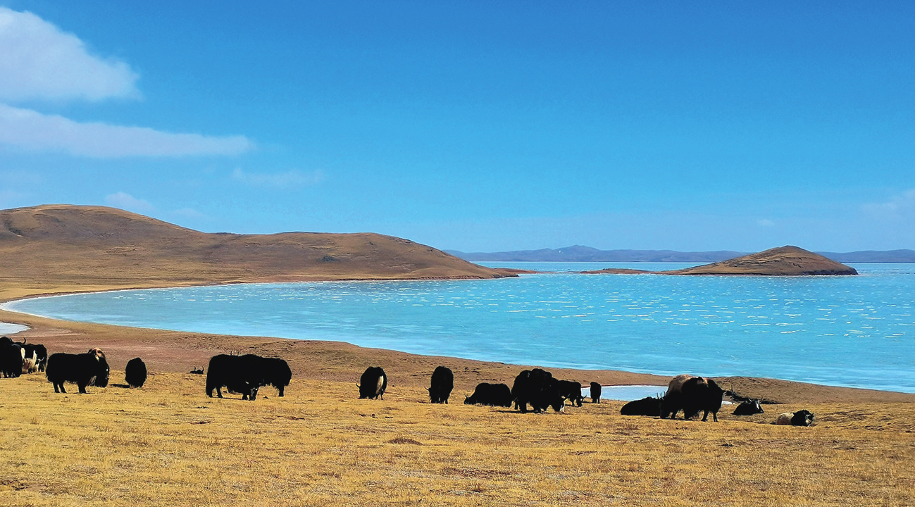 2022ལོའི་ཟླ་3ཚེས་12ཉིན་གཙང་གསུམ་ཆུ་འགོའི་རྒྱལ་ཁབ་སྤྱི་གླིང་རྨ་ཆུའི་ཆུ་འགོའི་གླིང་ནས་པར་བརྒྱབ་པའི་མཚོ་སྐྱ་རེངས་ཀྱི་ཡུལ་ལྗོངས་ཡིན་པ། ཤིན་ཧྭ་གསར་འགྱུར་ཁང་གི་གསར་འགོད་པ་ལུའེ་ཞུའེ་ལི་ཡིས་པར་བརྒྱབ།